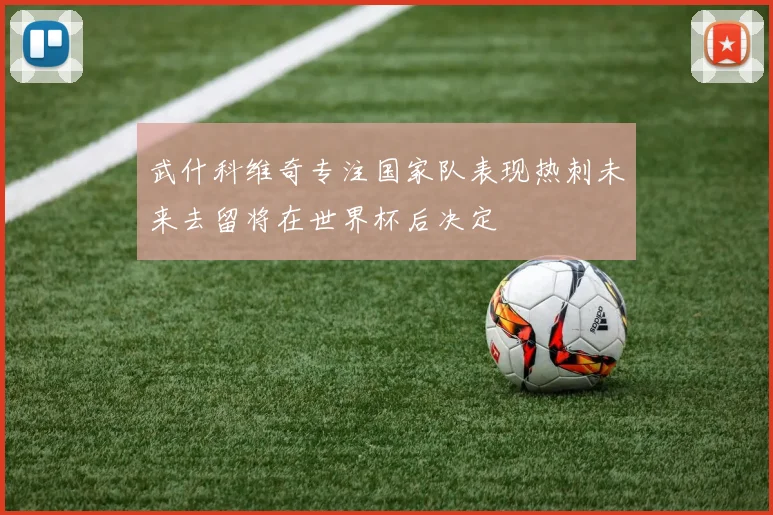 武什科维奇专注国家队表现热刺未来去留将在世界杯后决定
